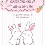 Omega Thỏ Nhỏ Và Alpha Sói Lớn